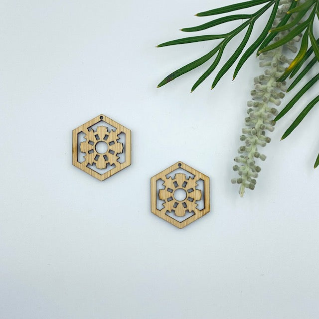 Timber Earring Blanks - Hexagon 7
